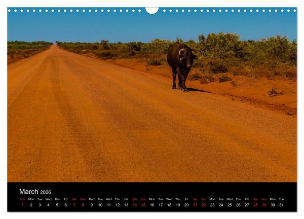 Produktbild: Western Australia / UK-Version (Wall Calendar 2026 DIN A3 landscape), CALVENDO 12 Month Wall Calendar