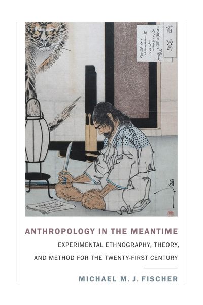 Produktbild: Anthropology in the Meantime