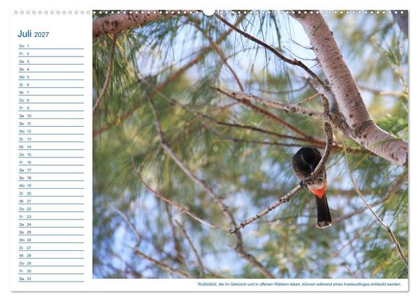 Produktbild: S&uuml;dsee-Insel Mo'orea (hochwertiger Premium Wandkalender 2027 DIN A2 quer), Kunstdruck in Hochglanz