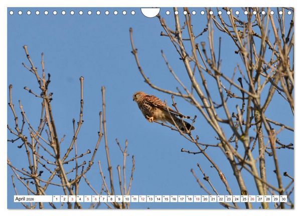 Produktbild: Zauberhaftes Mangfalltal (Wandkalender 2026 DIN A4 quer), CALVENDO Monatskalender