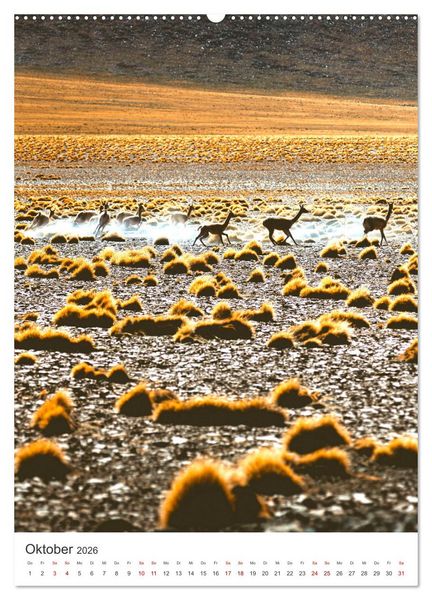 Produktbild: Chile - Ein unentdecktes Paradies. (Wandkalender 2026 DIN A2 hoch), CALVENDO Monatskalender