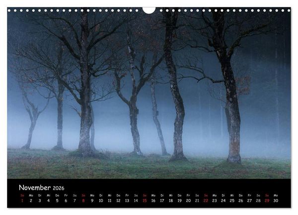 Produktbild: Faszination Morgenlicht (Wandkalender 2026 DIN A3 quer), CALVENDO Monatskalender