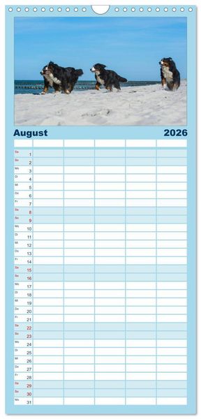 Produktbild: Familienplaner 2026 - Berner Sennenhund 2026 mit 5 Spalten (Wandkalender, 21 x 45 cm) CALVENDO