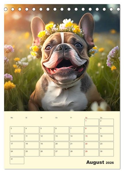 Produktbild: Lustige Flederm&auml;use. Franz&ouml;sische Bulldoggen bei der Freizeitgestaltung (Tischkalender 2026 DIN A5 hoch), CALVENDO Monatskalender