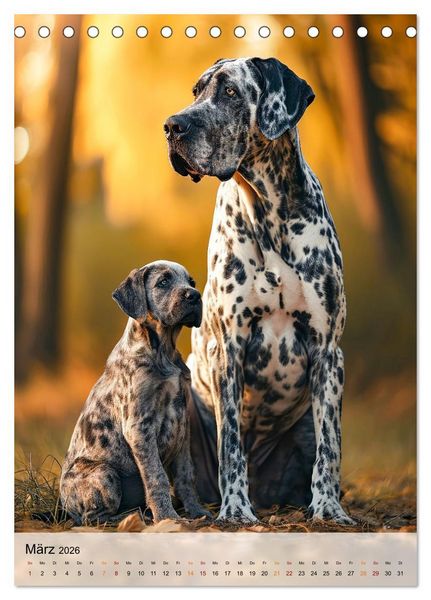 Produktbild: Deutsche Dogge - freundlicher Riese (Tischkalender 2026 DIN A5 hoch), CALVENDO Monatskalender