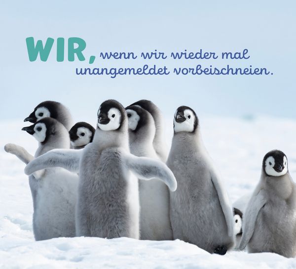 Produktbild: Tierisch happy jeden Tag