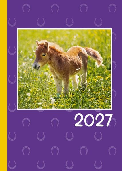 Produktbild: Pferde Kalenderpaket 2027