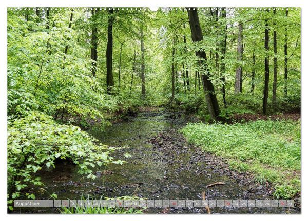 Produktbild: Teutoburger Wald - Natur und Kultur (Wandkalender 2026 DIN A2 quer), CALVENDO Monatskalender