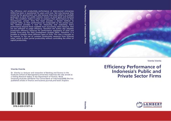 Produktbild: Efficiency Performance of Indonesia's Public and Private Sector Firms