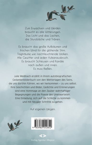 Produktbild: In jedem Sturm ist ein Lied