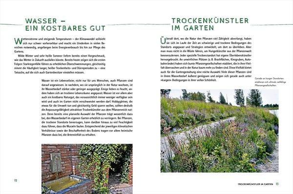 Produktbild: Die sch&ouml;nsten Pflanzen, die wenig Wasser brauchen f&uuml;r Garten, Balkon und Terrasse - 66 trockenheitsvertr&auml;gliche Stauden, Str&auml;ucher, Gr&auml;ser und Blumen, die hei&szlig;e Sommer garantiert &uuml;berleben