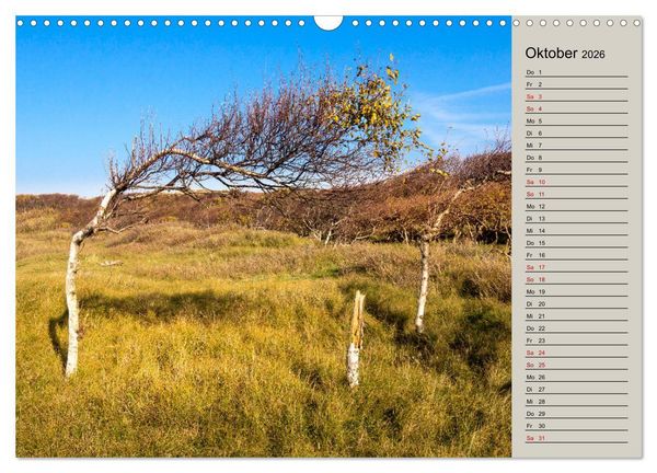 Produktbild: NORDERNEY Geburtstagskalender mit Planerfunktion (Wandkalender 2026 DIN A3 quer), CALVENDO Monatskalender