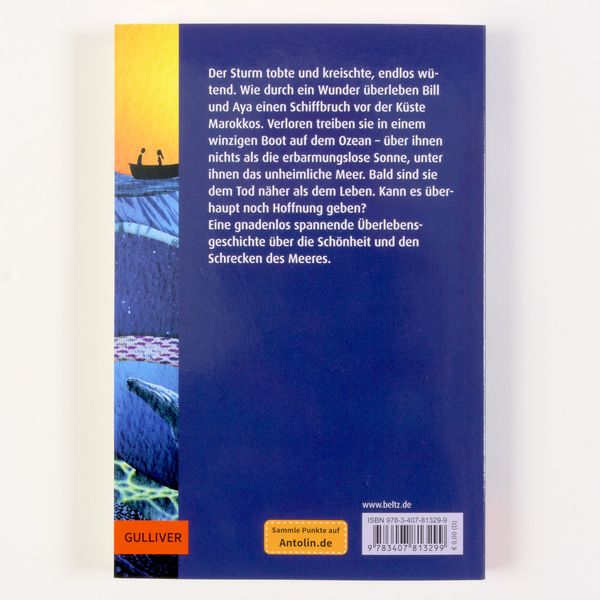 Produktbild: Allein auf dem Meer