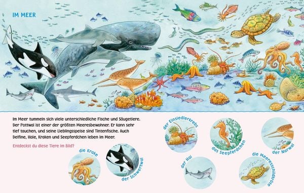 Produktbild: Unkaputtbar: Mein erstes Wimmelbuch: Unsere Tiere