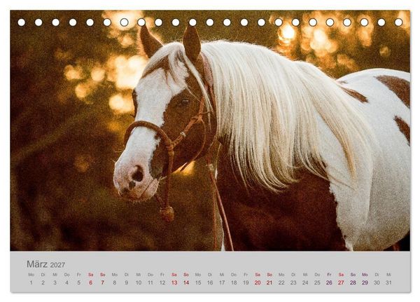 Produktbild: Pferde - Anmut, Eleganz, Magie (Tischkalender 2027 DIN A5 quer), CALVENDO Monatskalender