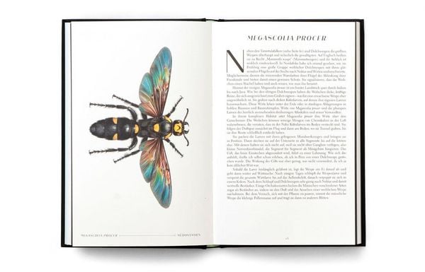Produktbild: Wunderwelt der Insekten