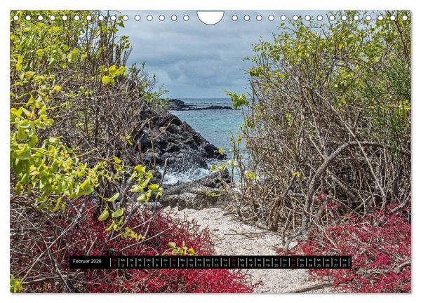 Produktbild: Galapagos- Landschaften (Wandkalender 2026 DIN A4 quer), CALVENDO Monatskalender