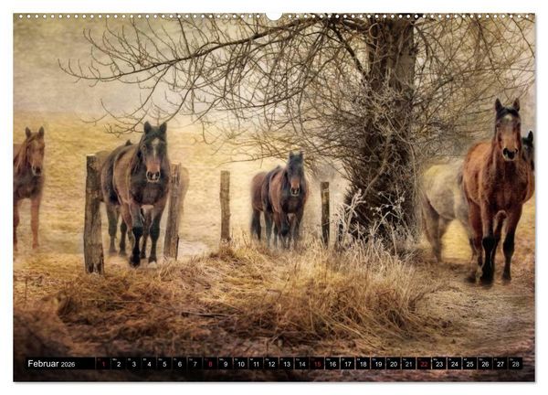Produktbild: Western-Feeling (hochwertiger Premium Wandkalender 2026 DIN A2 quer), Kunstdruck in Hochglanz