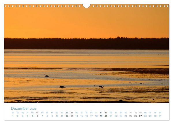 Produktbild: Schwedens Seen (Wandkalender 2026 DIN A3 quer), CALVENDO Monatskalender