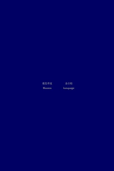 Produktbild: Bluestem