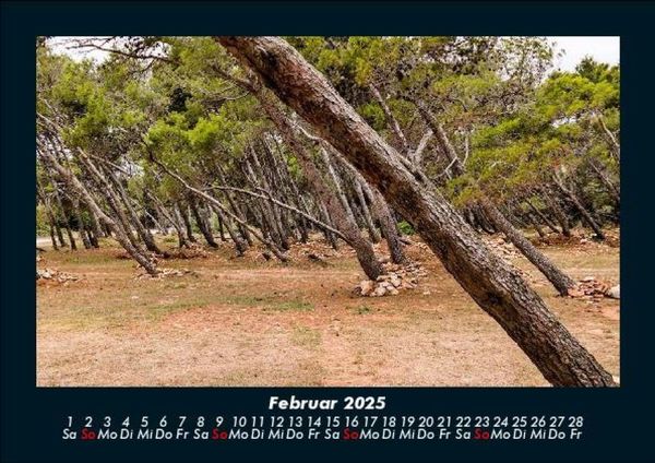 Produktbild: Waldzauber 2025 Fotokalender DIN A5