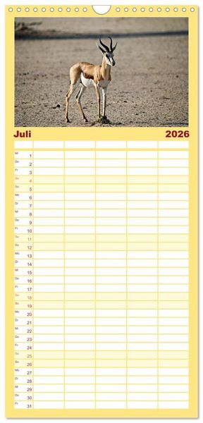 Produktbild: Familienplaner 2026 - Kgalagadi - Fauna und Wildtiere in der Kalahari mit 5 Spalten (Wandkalender, 21 x 45 cm) CALVENDO