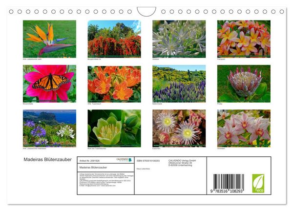 Produktbild: Madeiras Bl&uuml;tenzauber (Wandkalender 2026 DIN A4 quer), CALVENDO Monatskalender