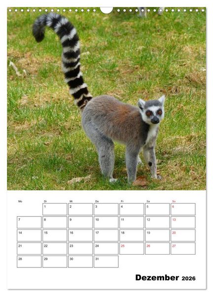 Produktbild: Katta Terminplaner (Wandkalender 2026 DIN A3 hoch), CALVENDO Monatskalender