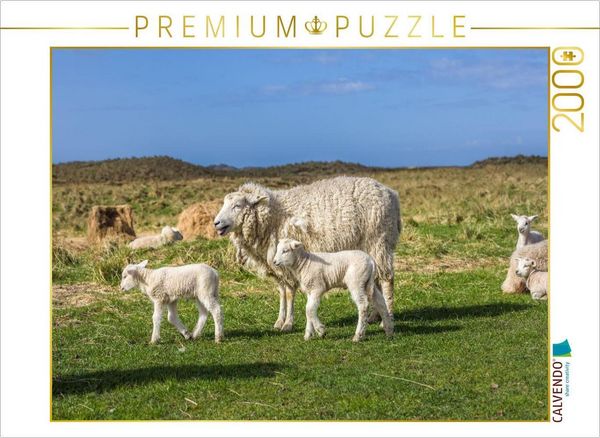 CALVENDO Puzzle Schafidylle im Naturschutzgebiet Ellenbogen auf Sylt | 2000 Teile Lege-Größe 90 × 67 cm Foto-Puzzle für glückliche Stunden