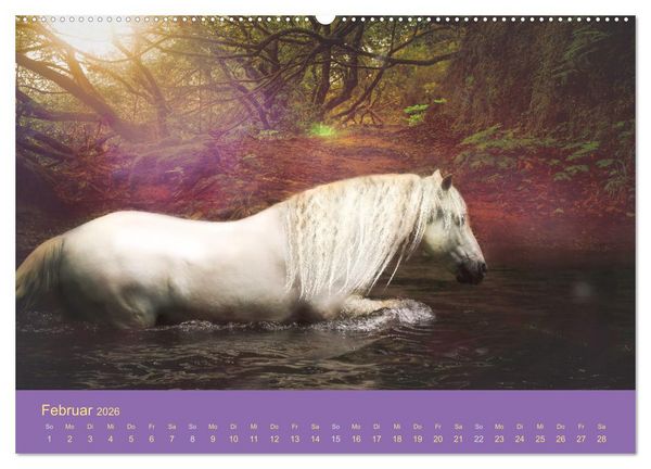 Produktbild: Von der Magie der Pferde (Wandkalender 2026 DIN A2 quer), CALVENDO Monatskalender