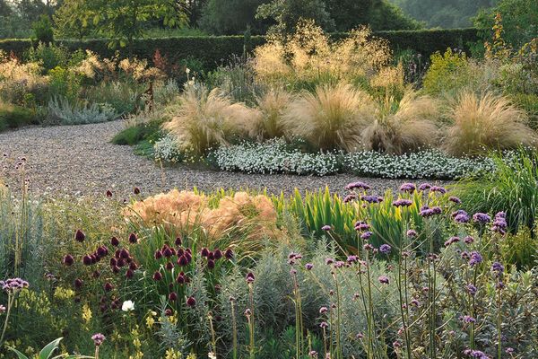 Produktbild: Meine Vision wird Garten