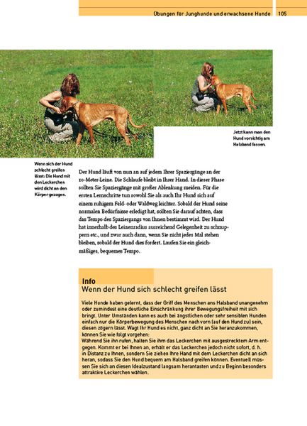 Produktbild: Das Kosmos Erziehungsprogramm f&uuml;r Hunde