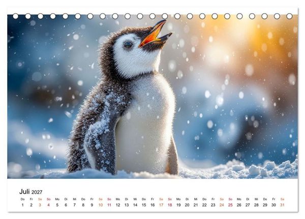 Produktbild: Pinguine - ein Jahr voller Meer (Tischkalender 2027 DIN A5 quer), CALVENDO Monatskalender