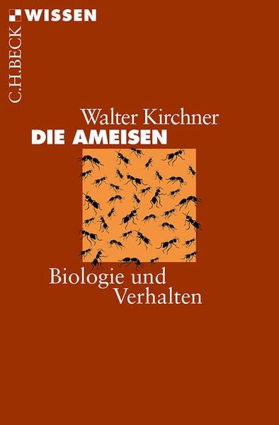 Produktbild: Die Ameisen