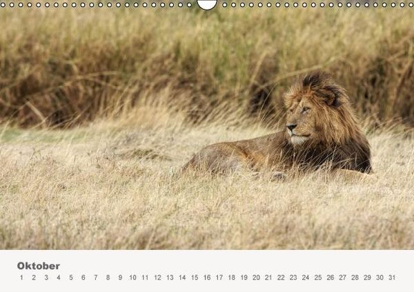 Produktbild: Faszination Ostafrika - Tierwelt und Natur aus Kenia und Tansania (Wandkalender immerw&auml;hrend DIN A3 quer)
