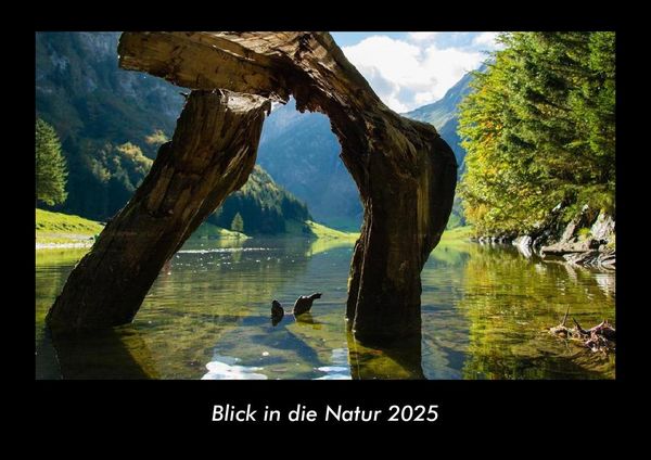 Produktbild: Blick in die Natur 2025 Fotokalender DIN A3