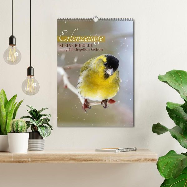 Produktbild: Erlenzeisige, kleine Kobolde (Wandkalender 2026 DIN A3 hoch), CALVENDO Monatskalender