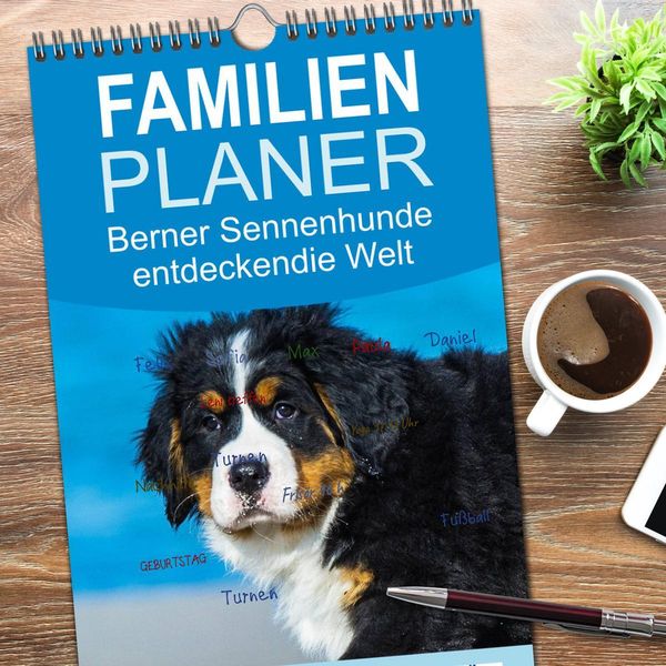 Produktbild: Familienplaner 2026 - Seeb&auml;rchen entdecken die Welt - Berner Sennenhunde mit 5 Spalten (Wandkalender, 21 x 45 cm) CALVENDO