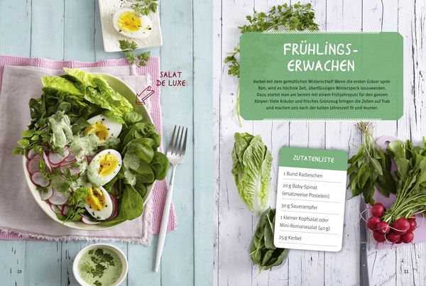 Produktbild: Smoothie oder Salat?