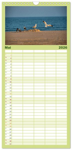 Produktbild: Familienplaner 2026 - Traumziel D&auml;nemark mit 5 Spalten (Wandkalender, 21 x 45 cm) CALVENDO