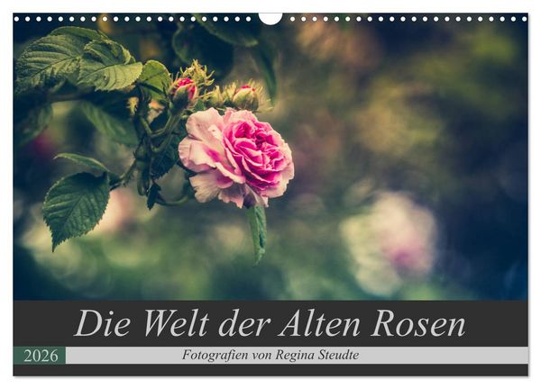 Produktbild: Die Welt der Alten Rosen (Wandkalender 2026 DIN A3 quer), CALVENDO Monatskalender