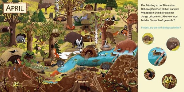Produktbild: Maxi Pixi 521: Wimmelspa&szlig;. Ein Jahr im Wald