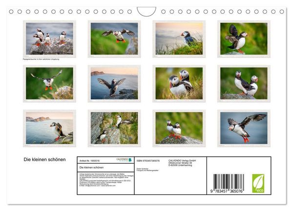 Produktbild: Die kleinen sch&ouml;nen (Wandkalender 2026 DIN A4 quer), CALVENDO Monatskalender