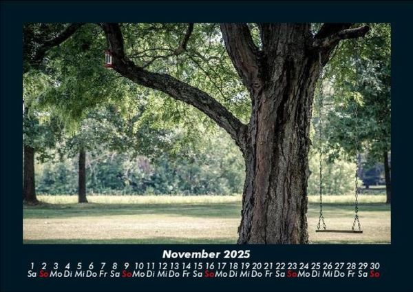 Produktbild: B&auml;ume 2025 Fotokalender DIN A5