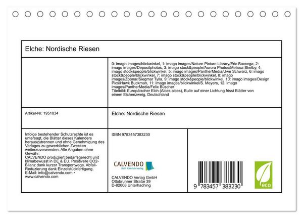 Produktbild: Elche: Nordische Riesen (Tischkalender 2026 DIN A5 quer), CALVENDO Monatskalender