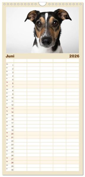 Produktbild: Familienplaner 2026 - Kleine Hunde - Gro&szlig;e Blicke mit 5 Spalten (Wandkalender, 21 x 45 cm) CALVENDO