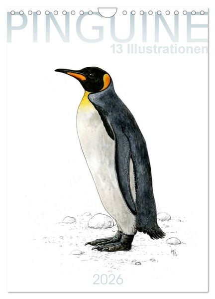Produktbild: Pinguine - 13 Illustrationen (Wandkalender 2026 DIN A4 hoch), CALVENDO Monatskalender