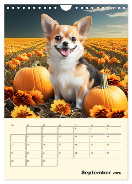 Produktbild: Witzige Chihuahuas. Gl&uuml;ckliche Temperamentb&uuml;ndel (Wandkalender 2026 DIN A4 hoch), CALVENDO Monatskalender