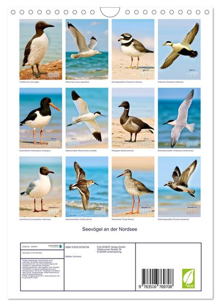 Produktbild: Seev&ouml;gel an der Nordsee (Wandkalender 2027 DIN A4 hoch), CALVENDO Monatskalender