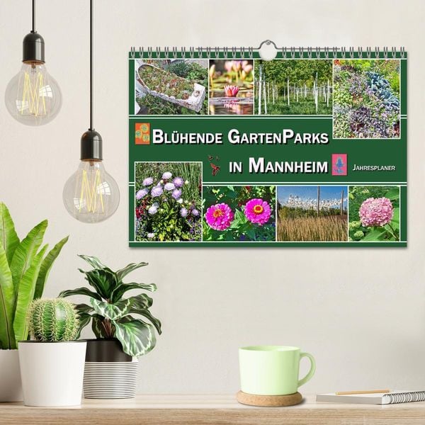 Produktbild: Bl&uuml;hende Gartenparks in Mannheim (Wandkalender 2026 DIN A4 quer), CALVENDO Monatskalender